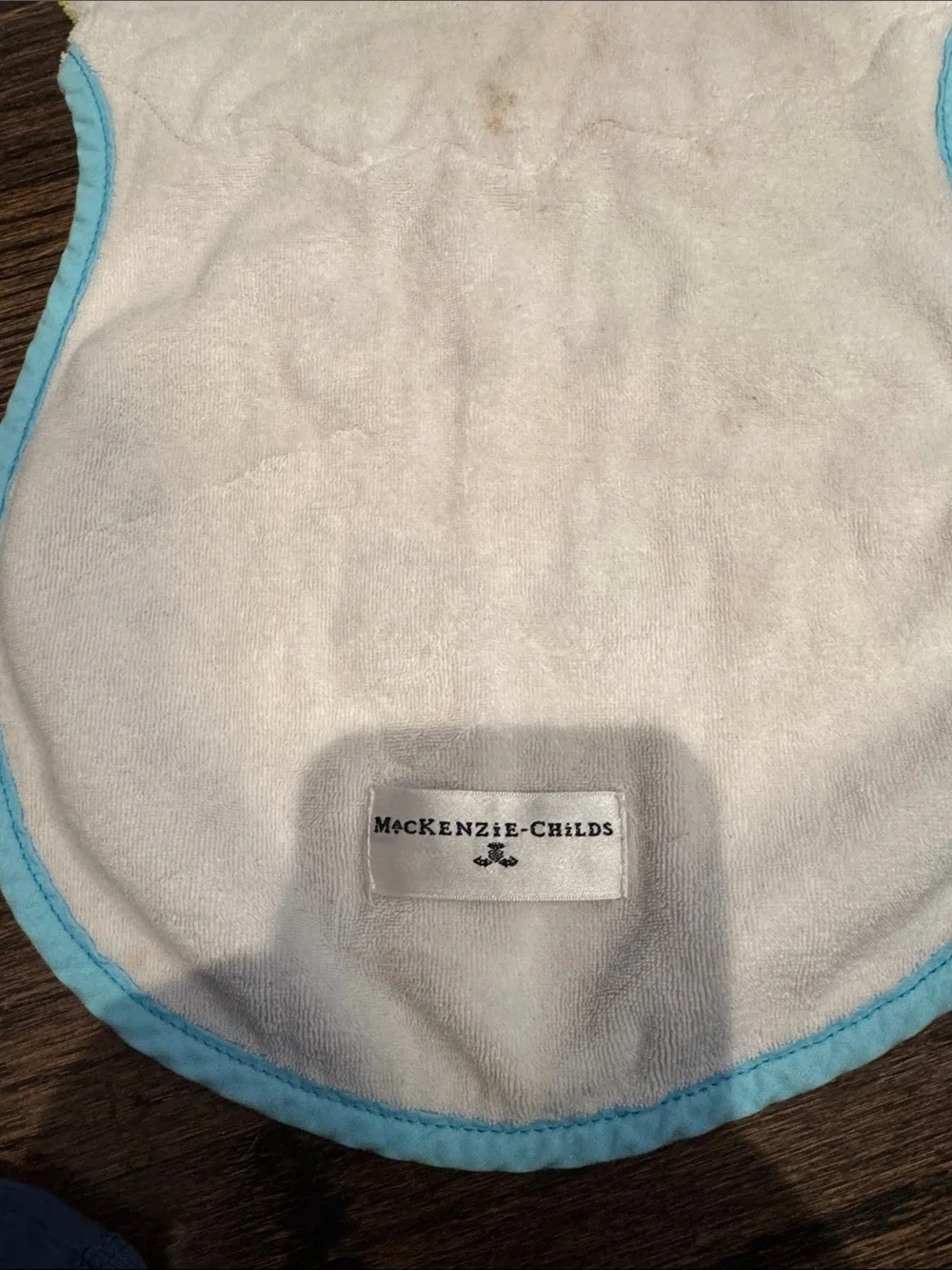 Kids Bib with Playful Green Frog and Aqua Trim